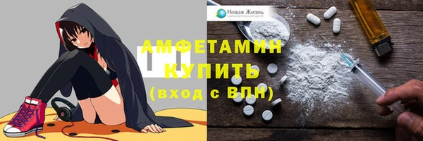 индика Осташков