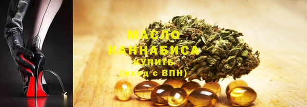 индика Осташков