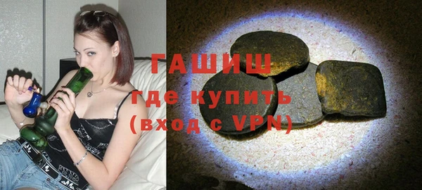 индика Осташков