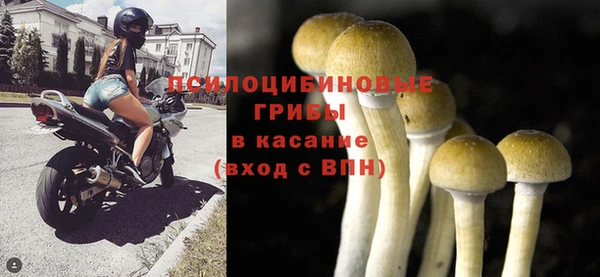 ПСИЛОЦИБИНОВЫЕ ГРИБЫ Осинники