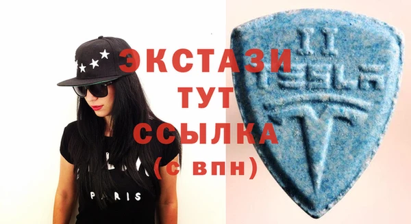 индика Осташков